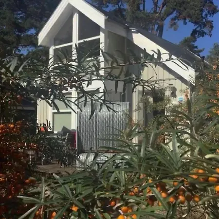 Prázdninový dům Bernstein -